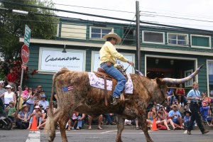After I wrote this article, the 4th of July parade came and the guy riding the long-horned bull was in it. So here is photographic proof that someone rides this beast!