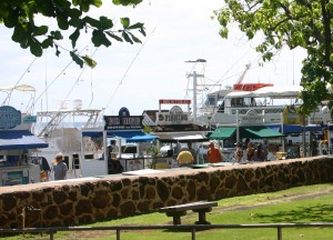 A view of the docking area in Lahaina.