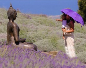 Lavender colored umbrellas are provided for shade or sprinkles.