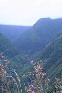 Waihee Valley from the ridge.