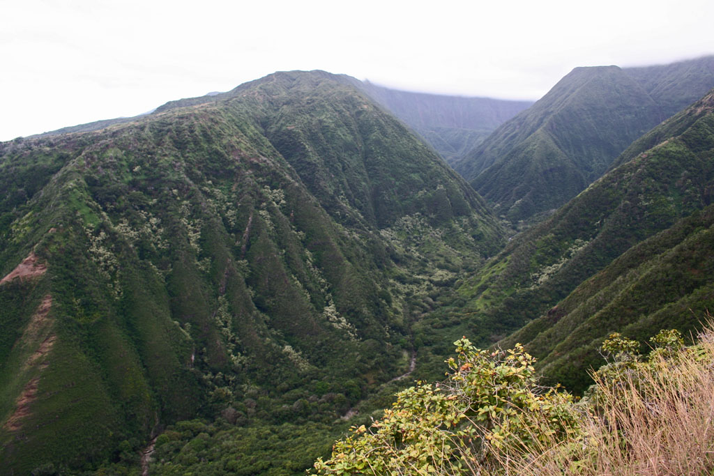 One of the many spectacular views into Waihee Valley