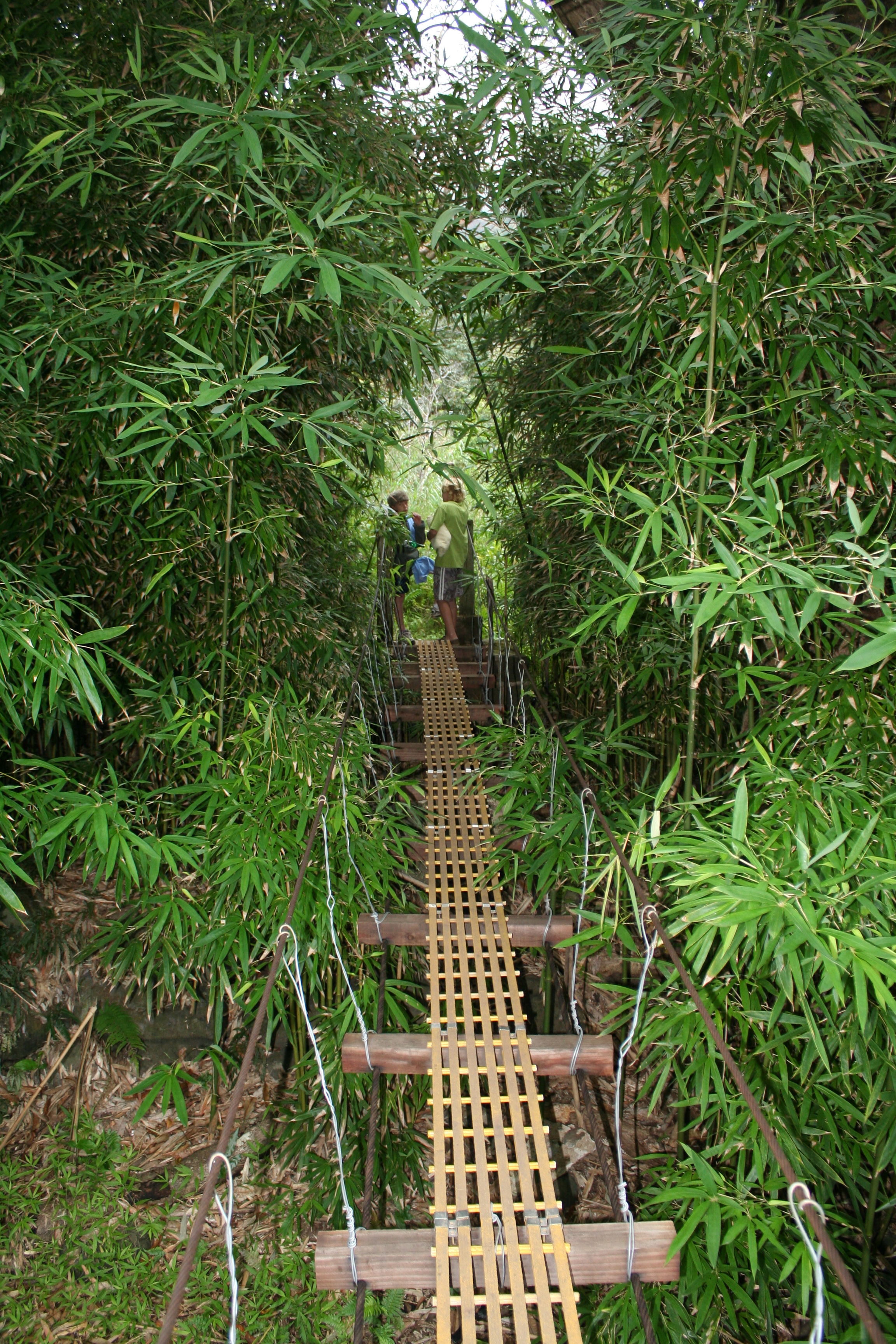 Swinging Bridges Aka Waihe E Valley Trail Maui Guidebook