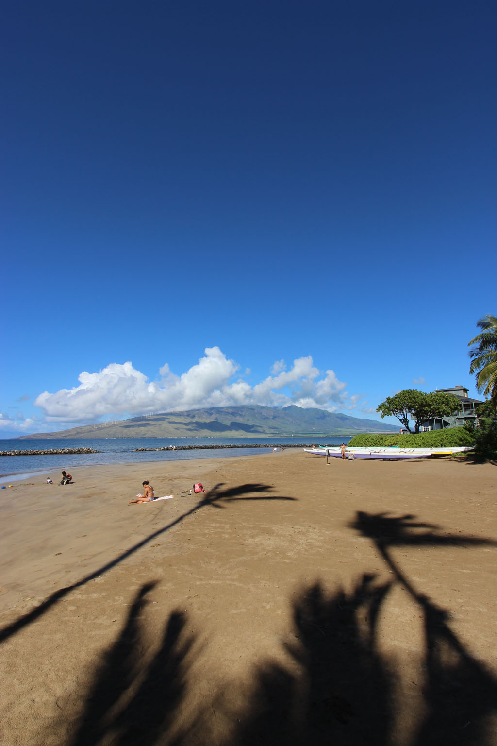  Parc de la plage de Kalepolepo 