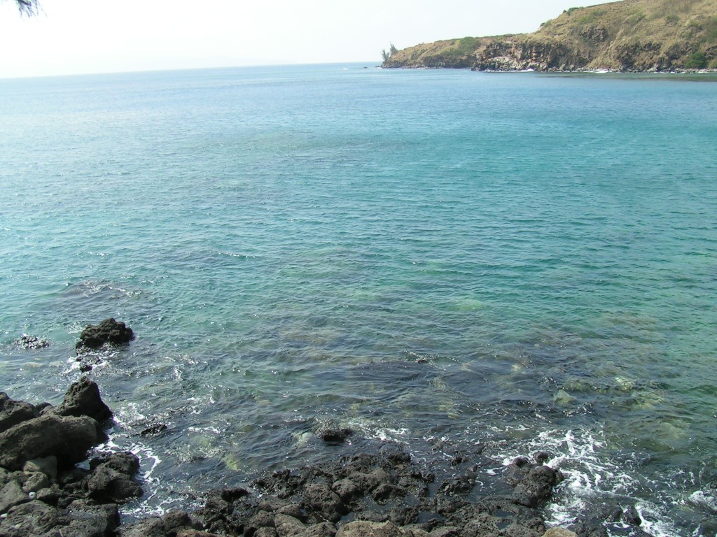 Honolua Bay