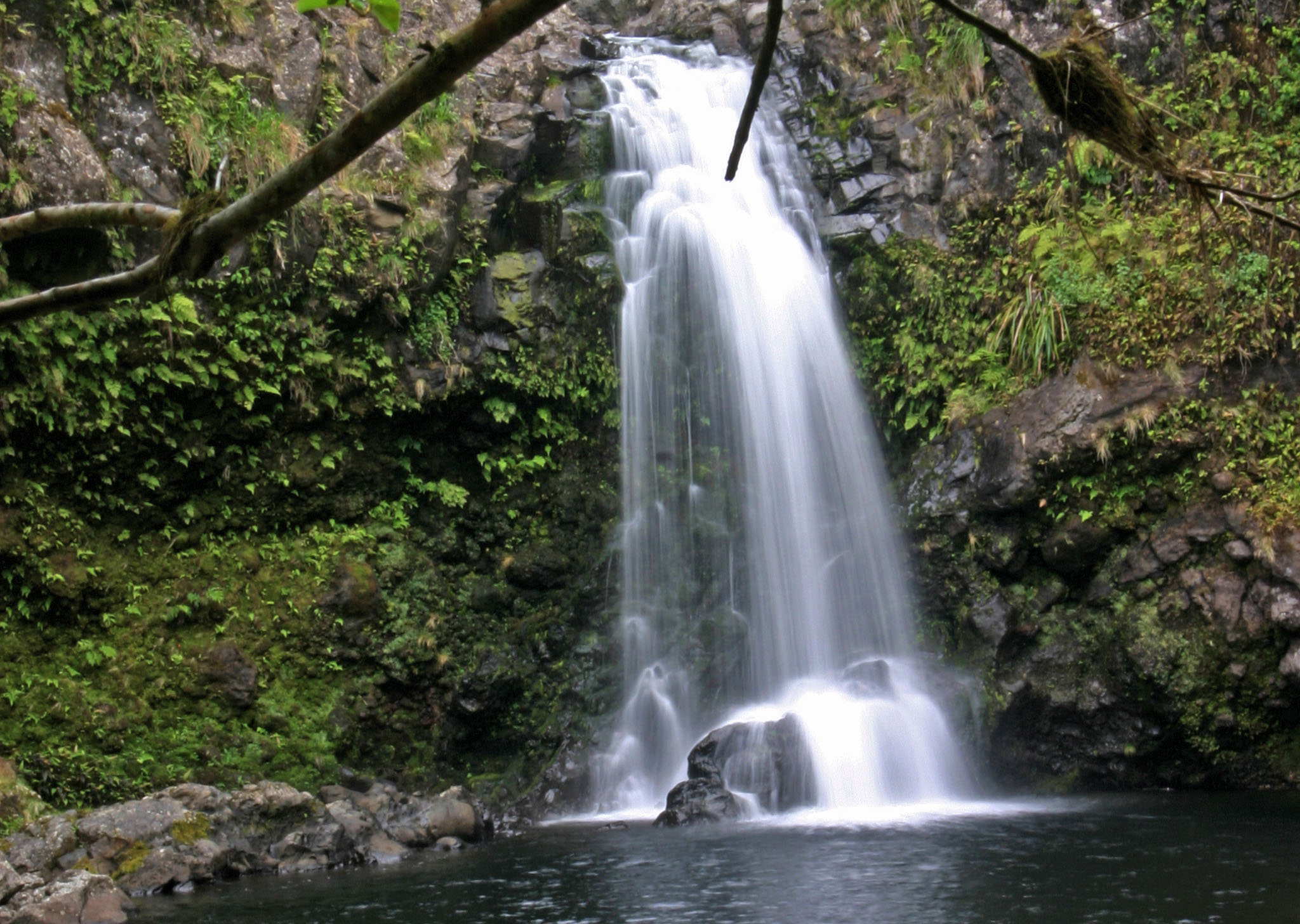 Wailua & Ke'anae Valley Hike | Maui Guidebook