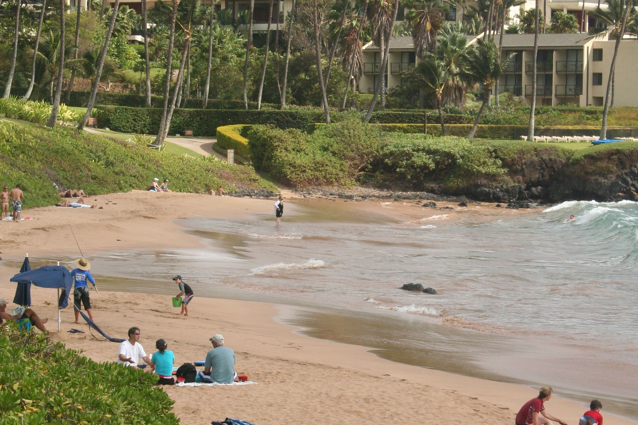 Ulua Beach Maui Guidebook 6732