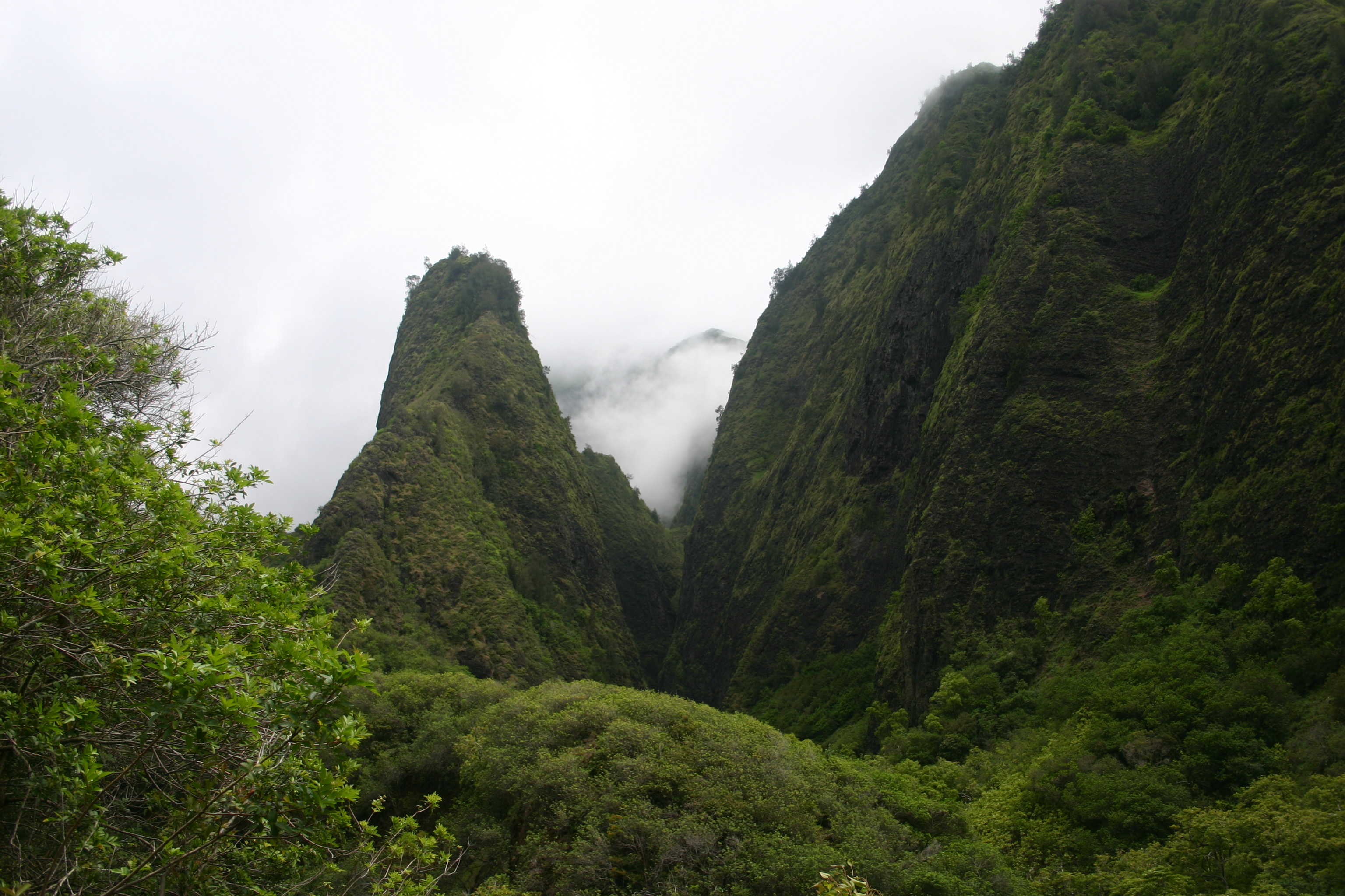 Central Maui - Maui Guidebook